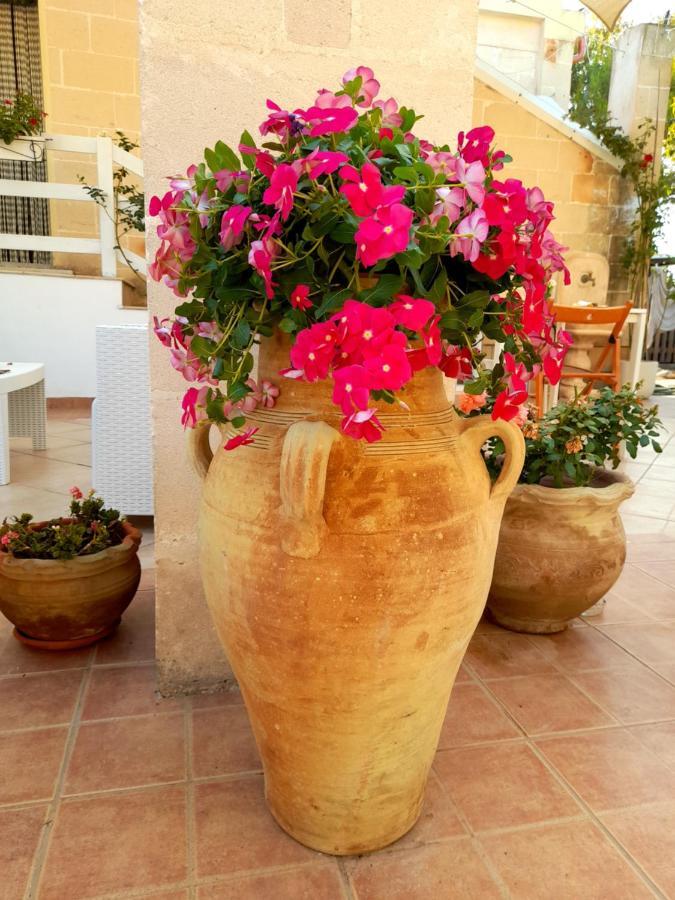 Bed and Breakfast Antico Casale Il Sambuco Manduria Exterior foto