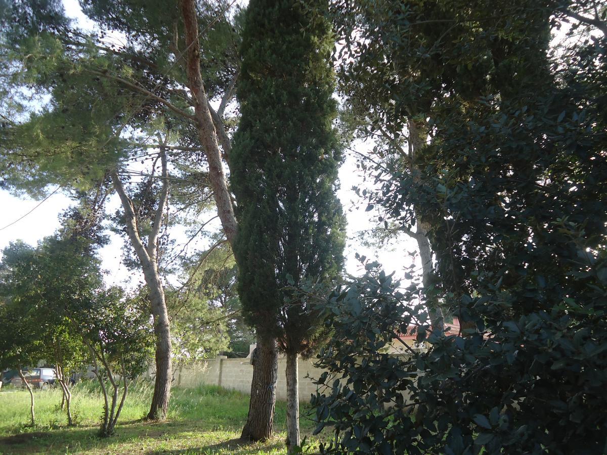 Bed and Breakfast Antico Casale Il Sambuco Manduria Exterior foto